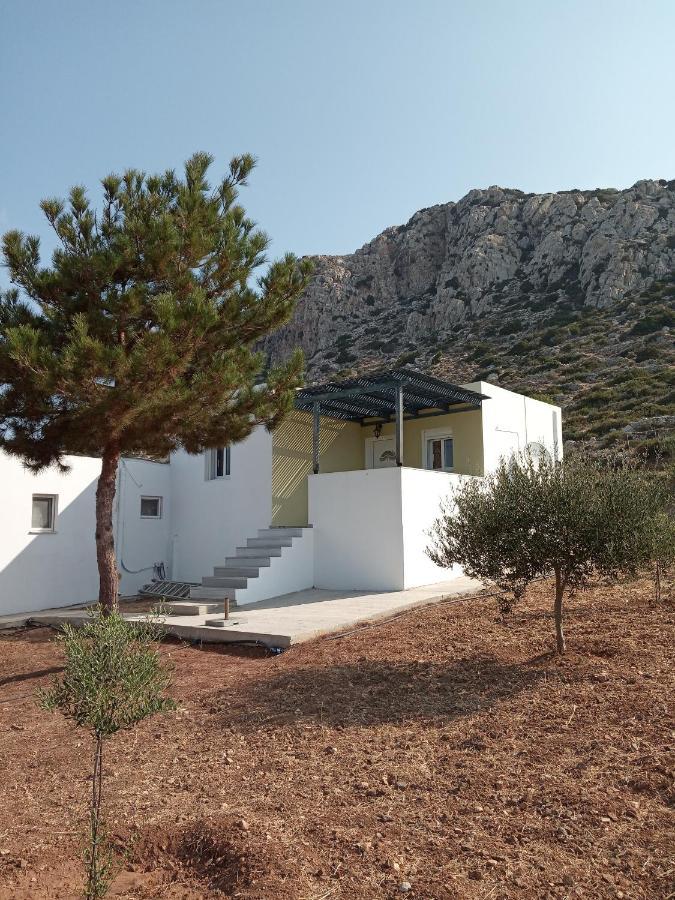 Albatros Studios & Apartments Lefkos  Екстериор снимка