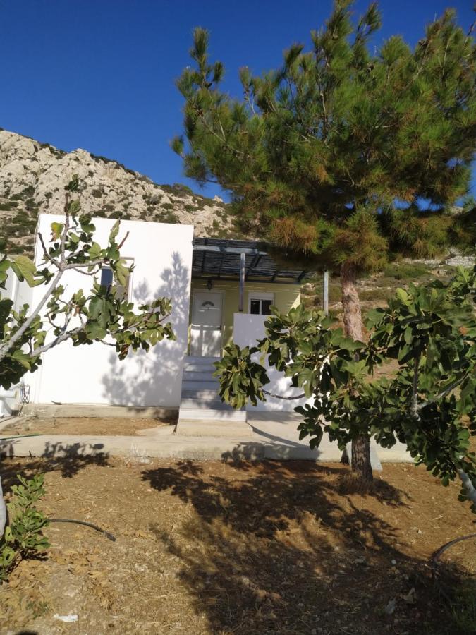 Albatros Studios & Apartments Lefkos  Екстериор снимка